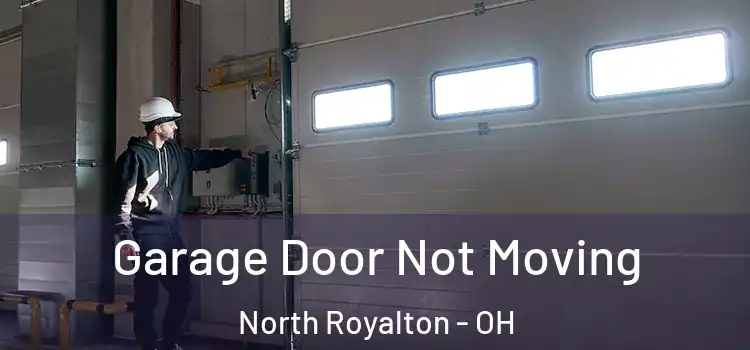  Garage Door Not Moving North Royalton - OH